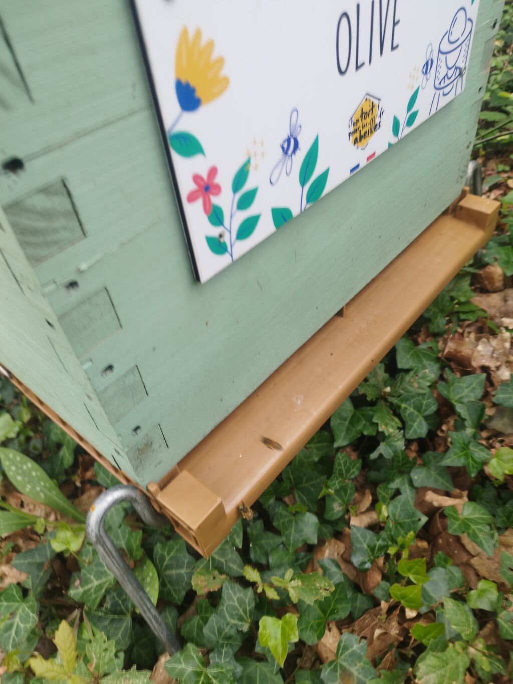 La ruche Olive