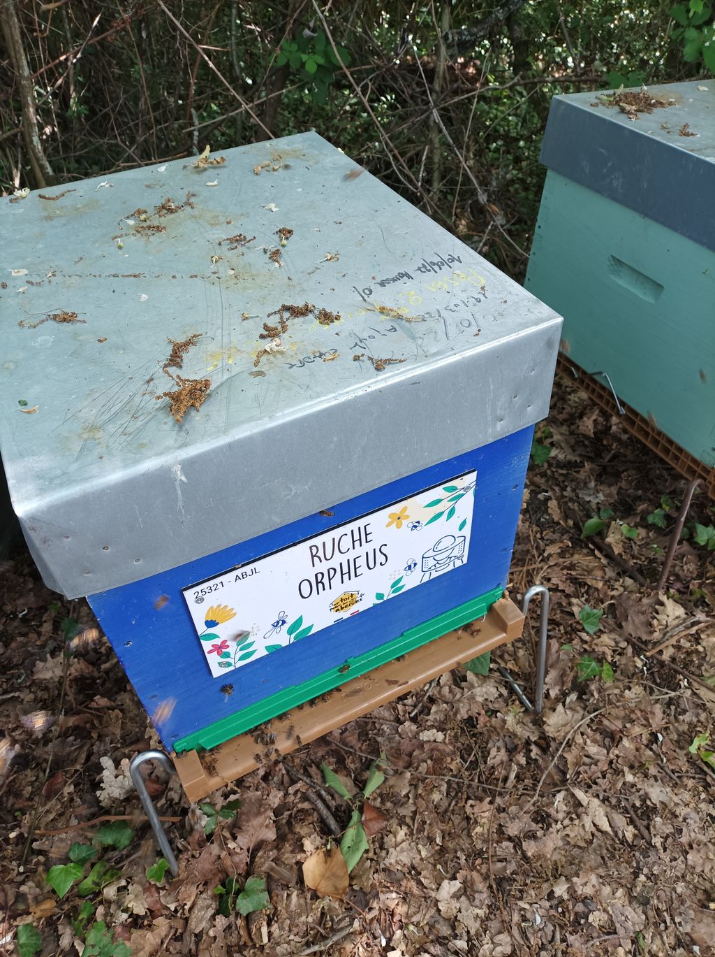 La ruche Orpheus