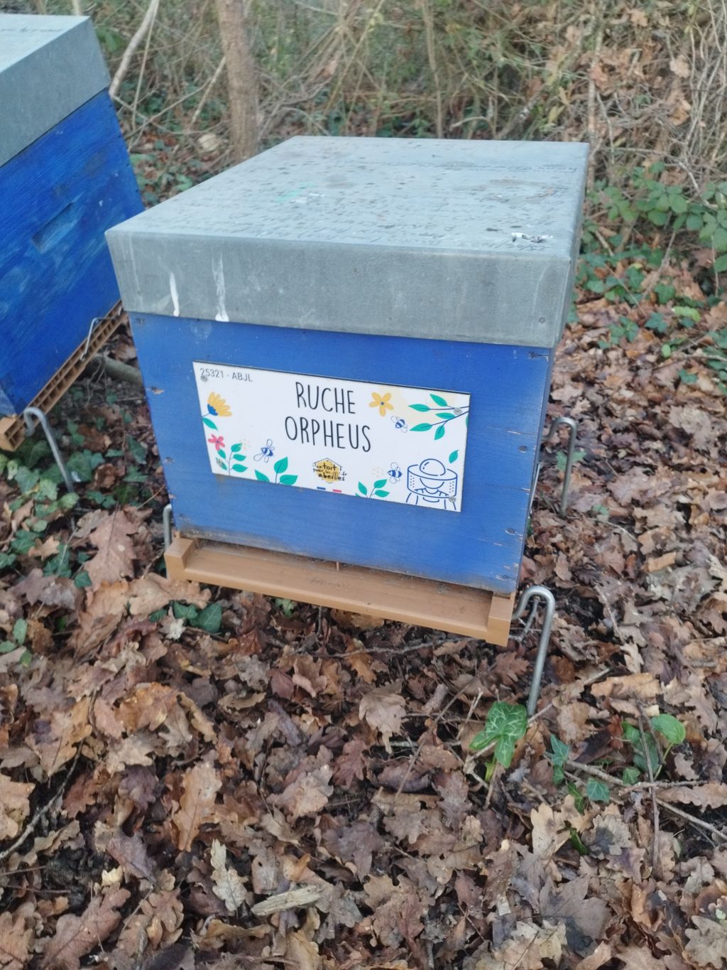 La ruche Orpheus