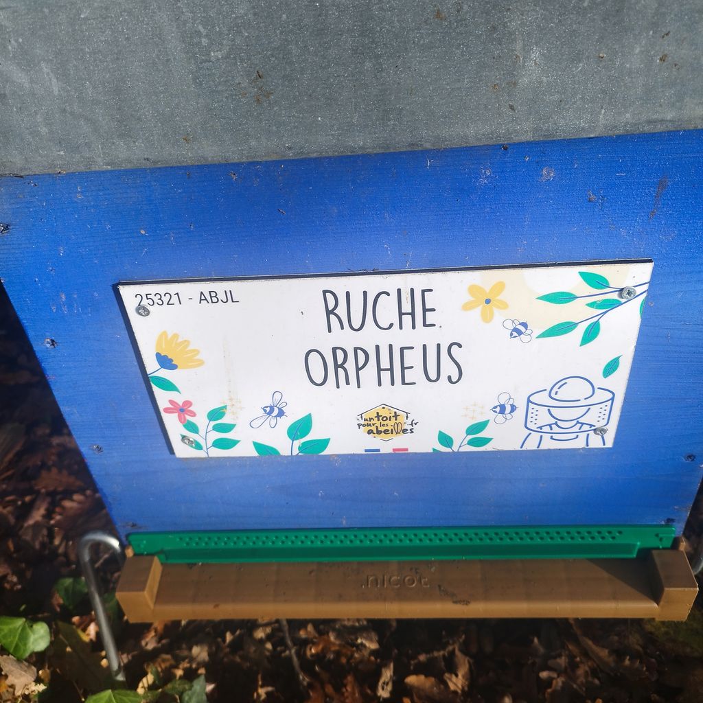 La ruche Orpheus