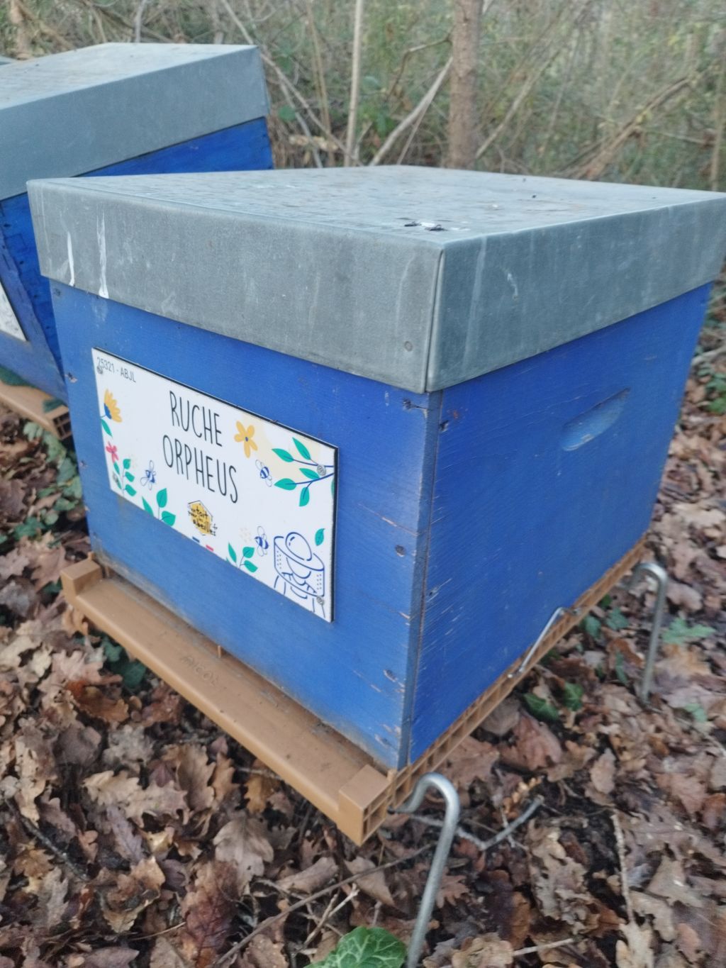 La ruche Orpheus