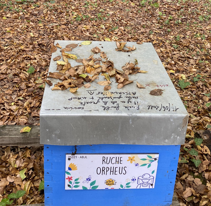 La ruche Orpheus