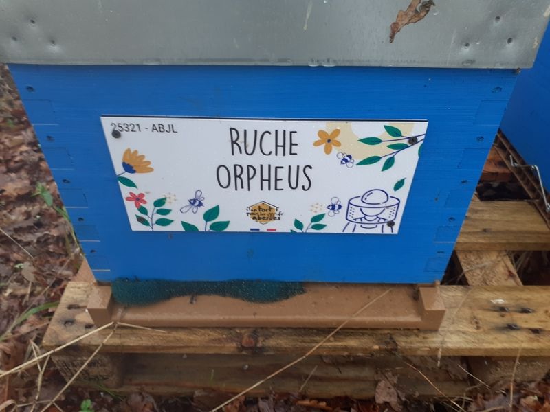 La ruche Orpheus