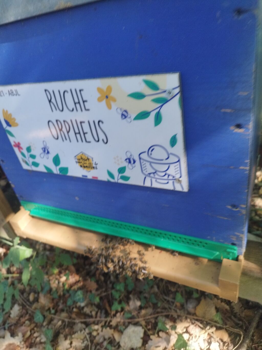 La ruche Orpheus
