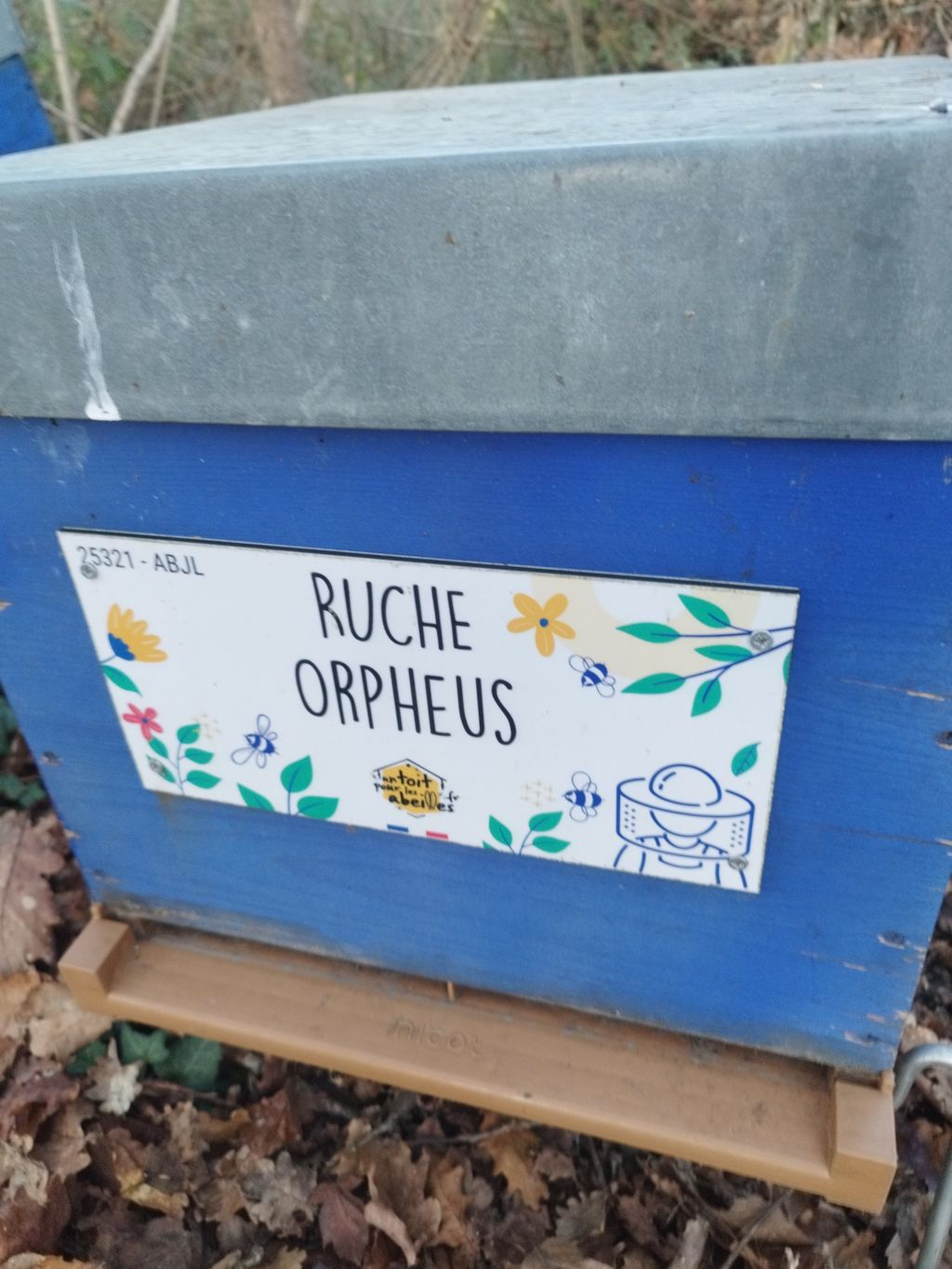 La ruche Orpheus