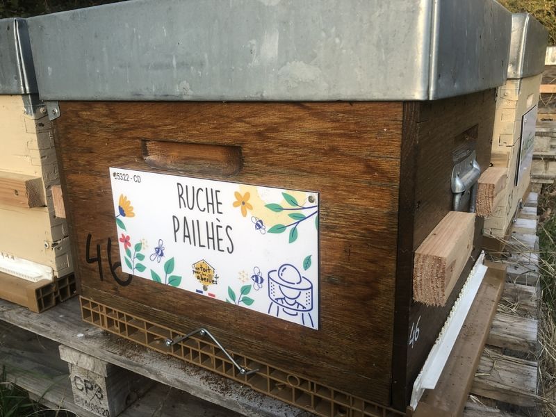 La ruche