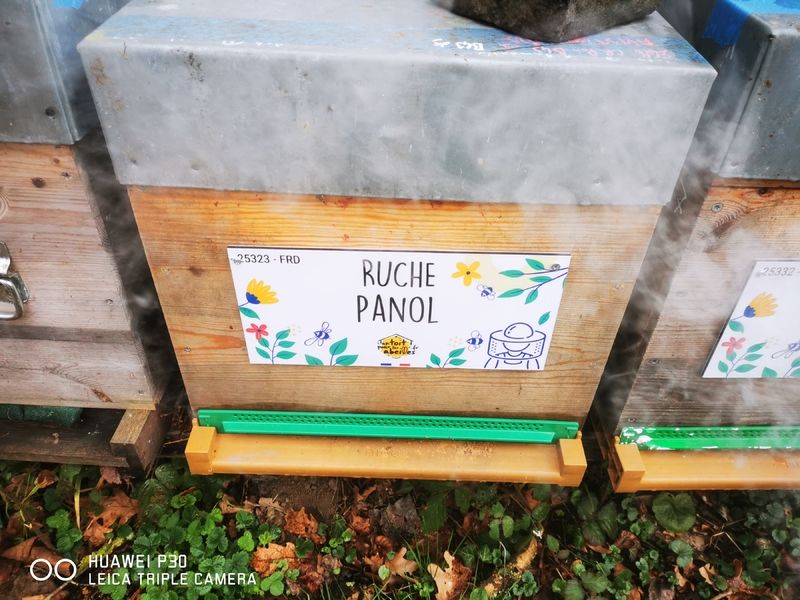 La ruche Panol