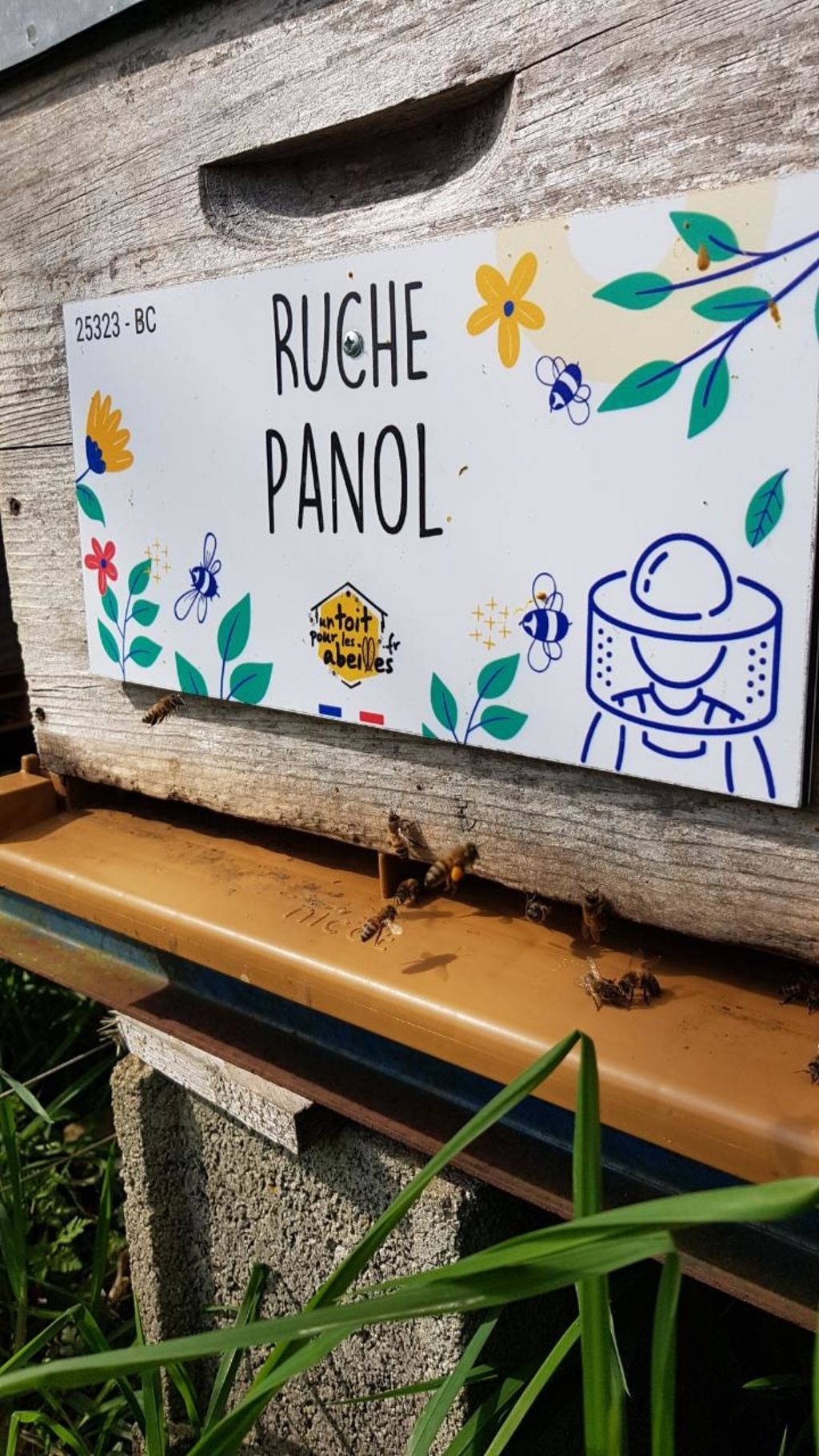 La ruche Panol