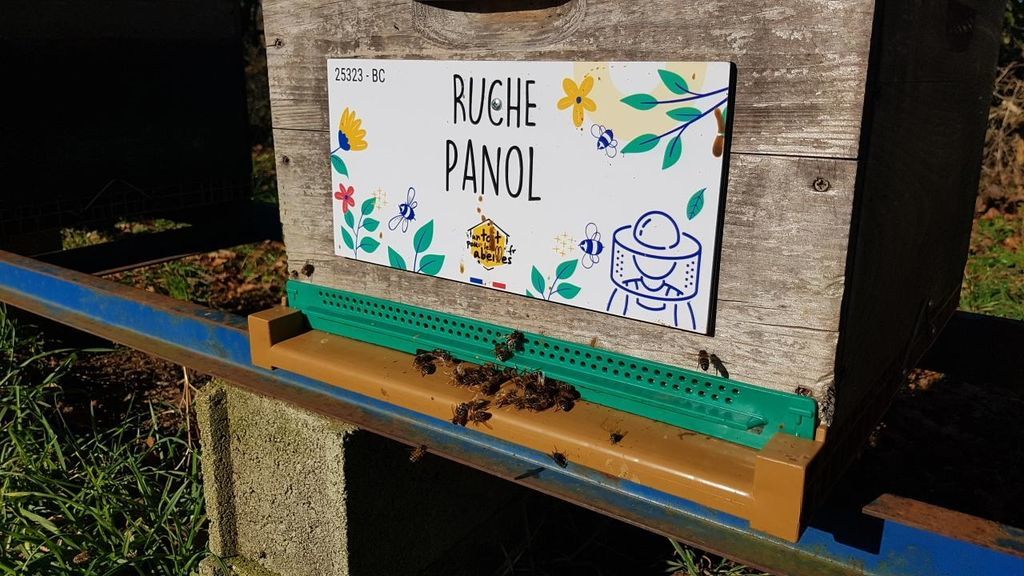 La ruche Panol