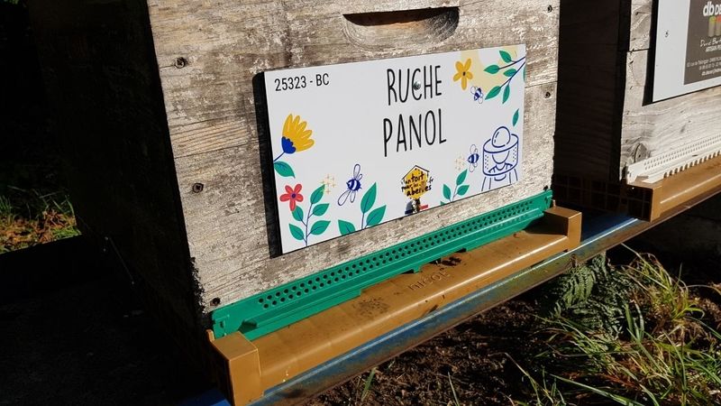 La ruche Panol