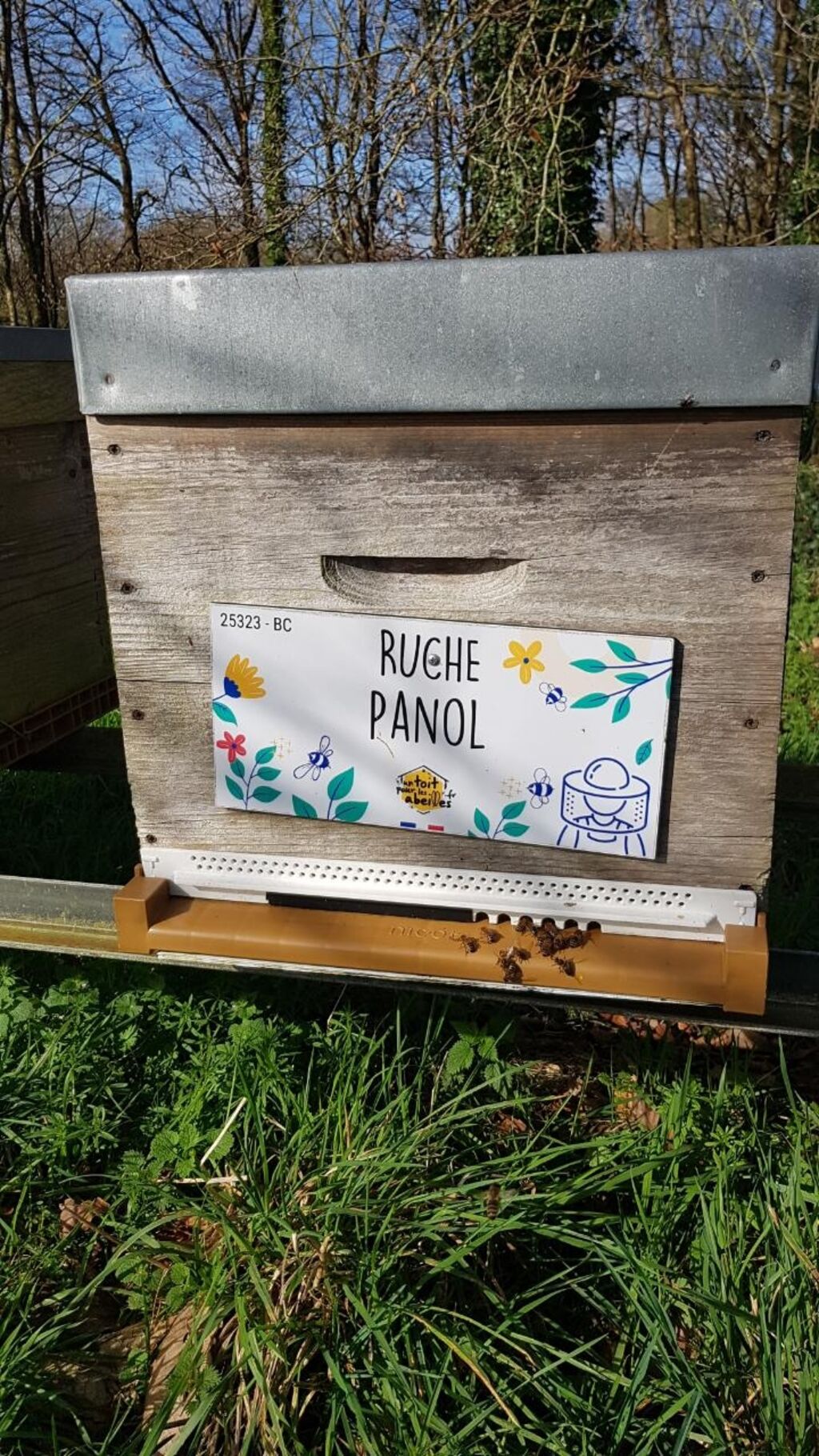 La ruche Panol