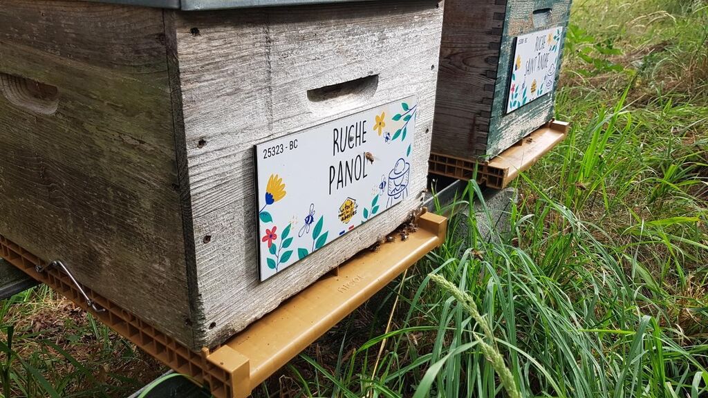 La ruche Panol