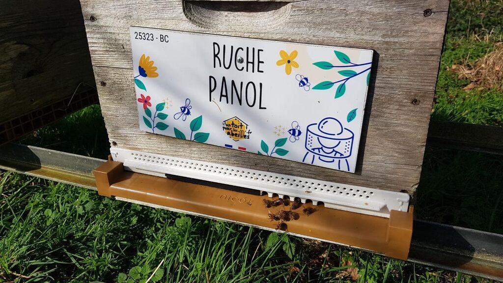 La ruche Panol