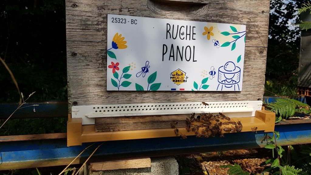 La ruche Panol