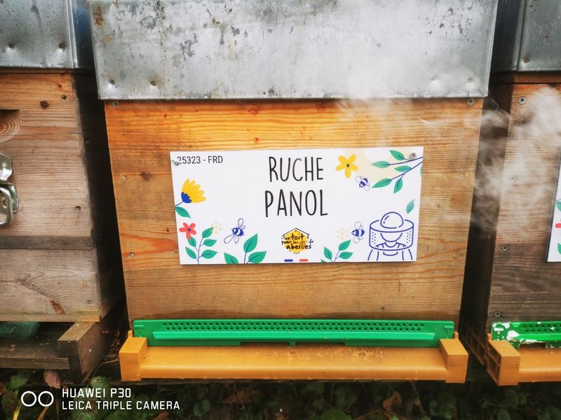 La ruche Panol