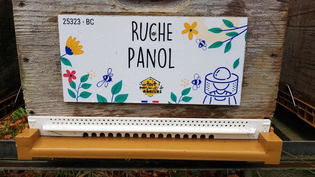 La ruche 