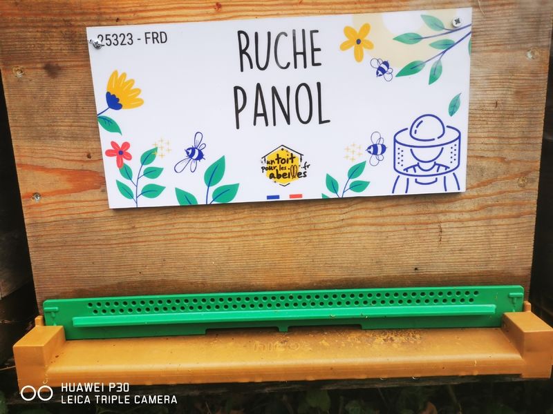 La ruche Panol