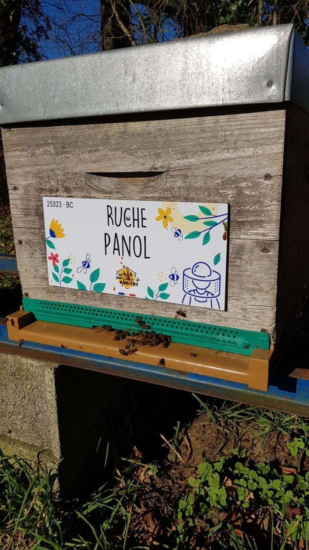 La ruche Panol