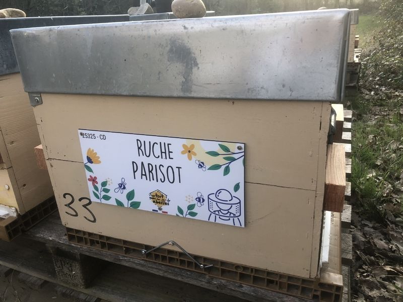 La ruche