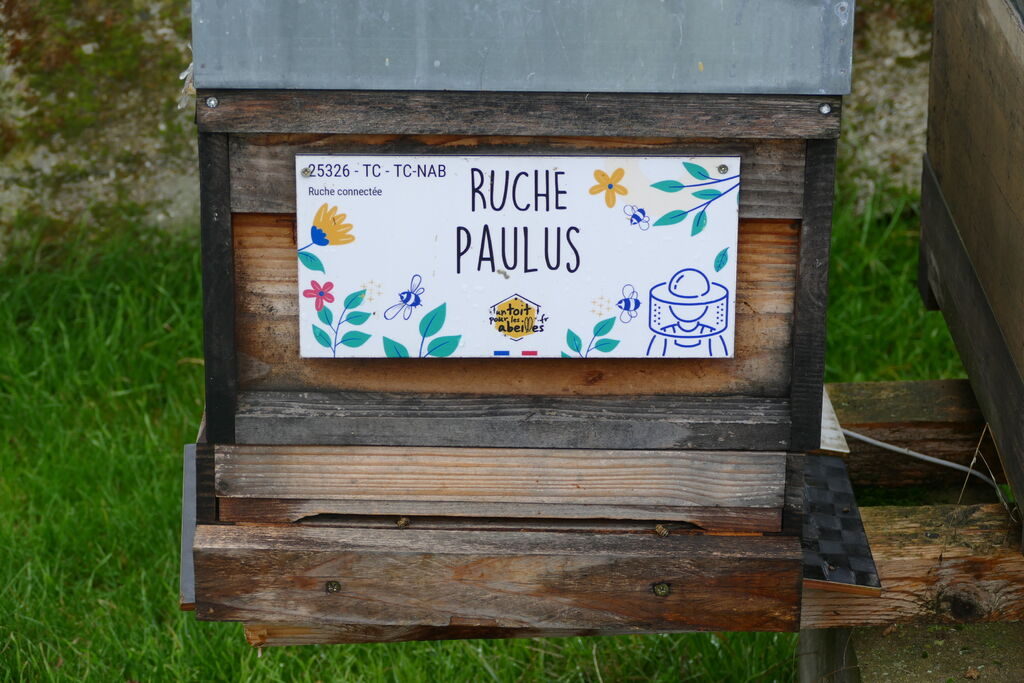 La ruche Paulus