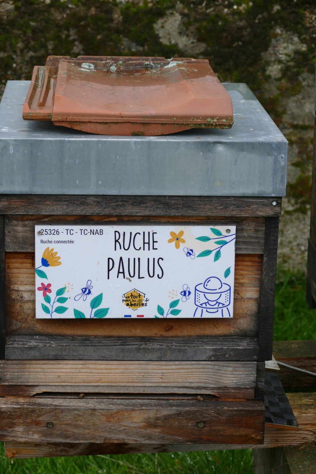 La ruche Paulus