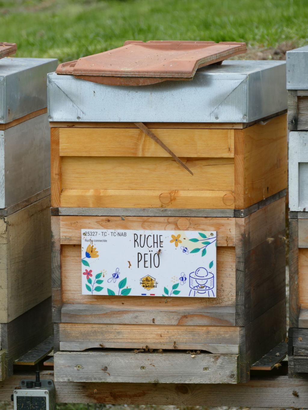 La ruche Peïo