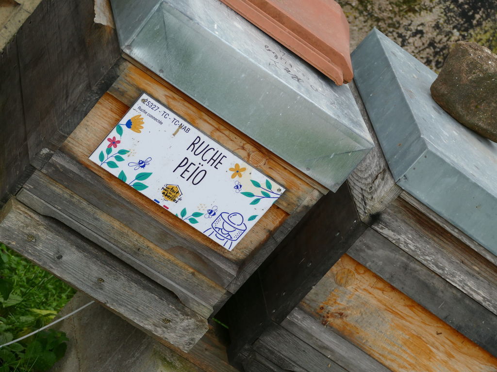 La ruche Peïo
