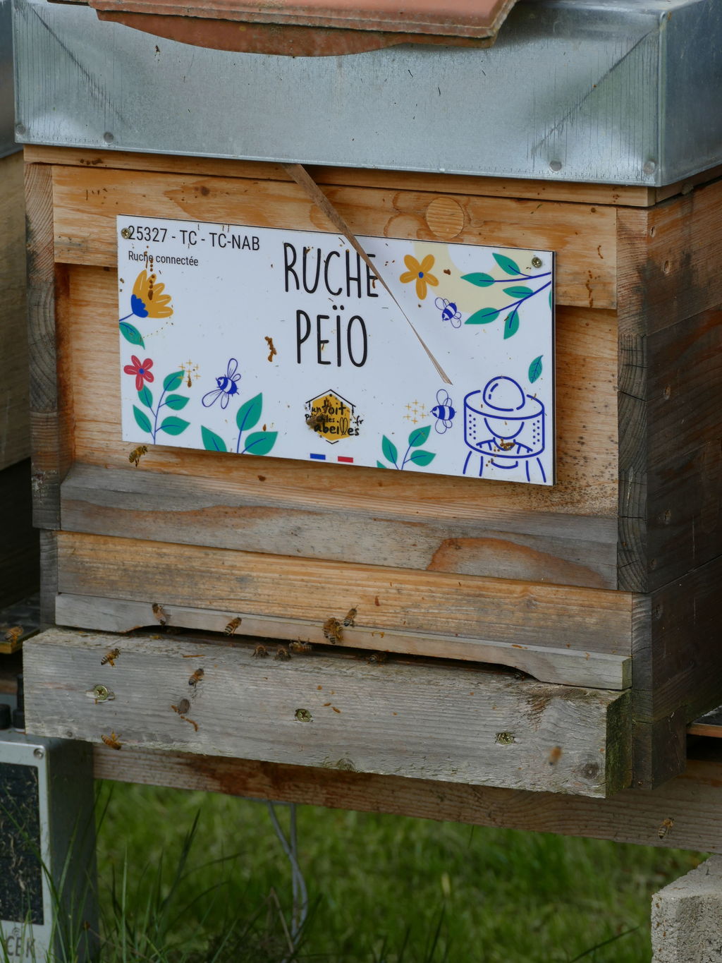La ruche Peïo