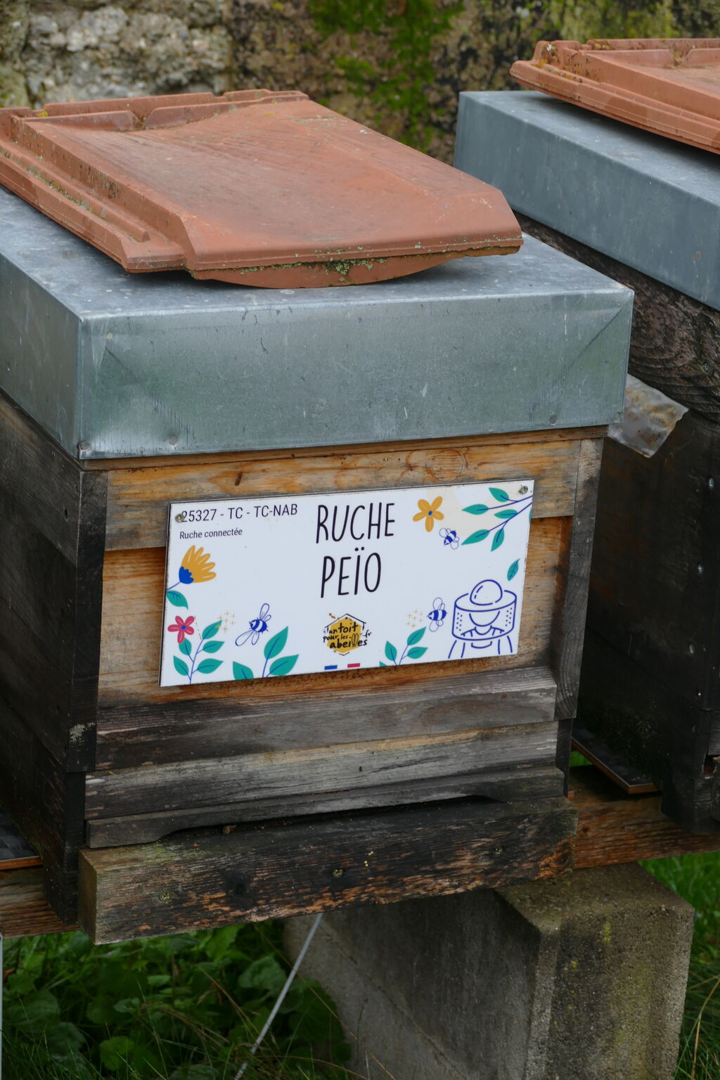 La ruche Peïo