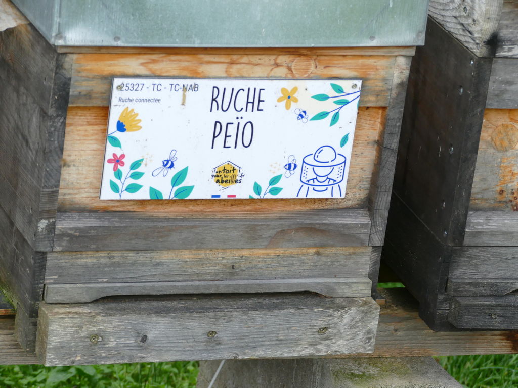 La ruche Peïo