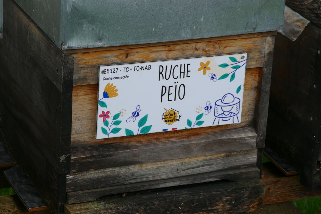 La ruche Peïo