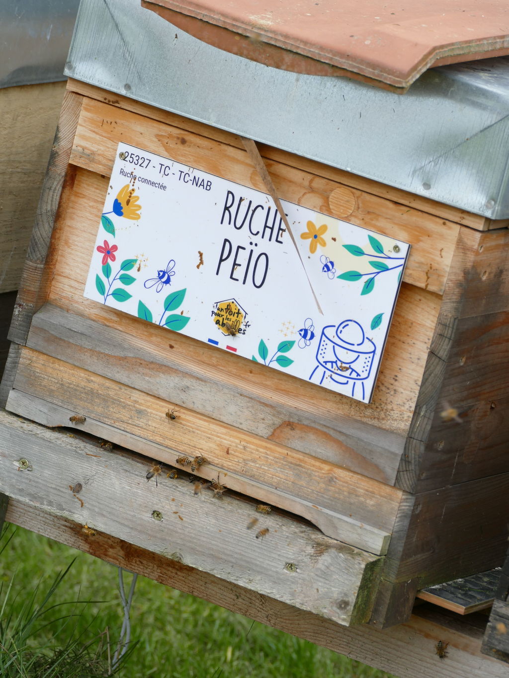La ruche Peïo