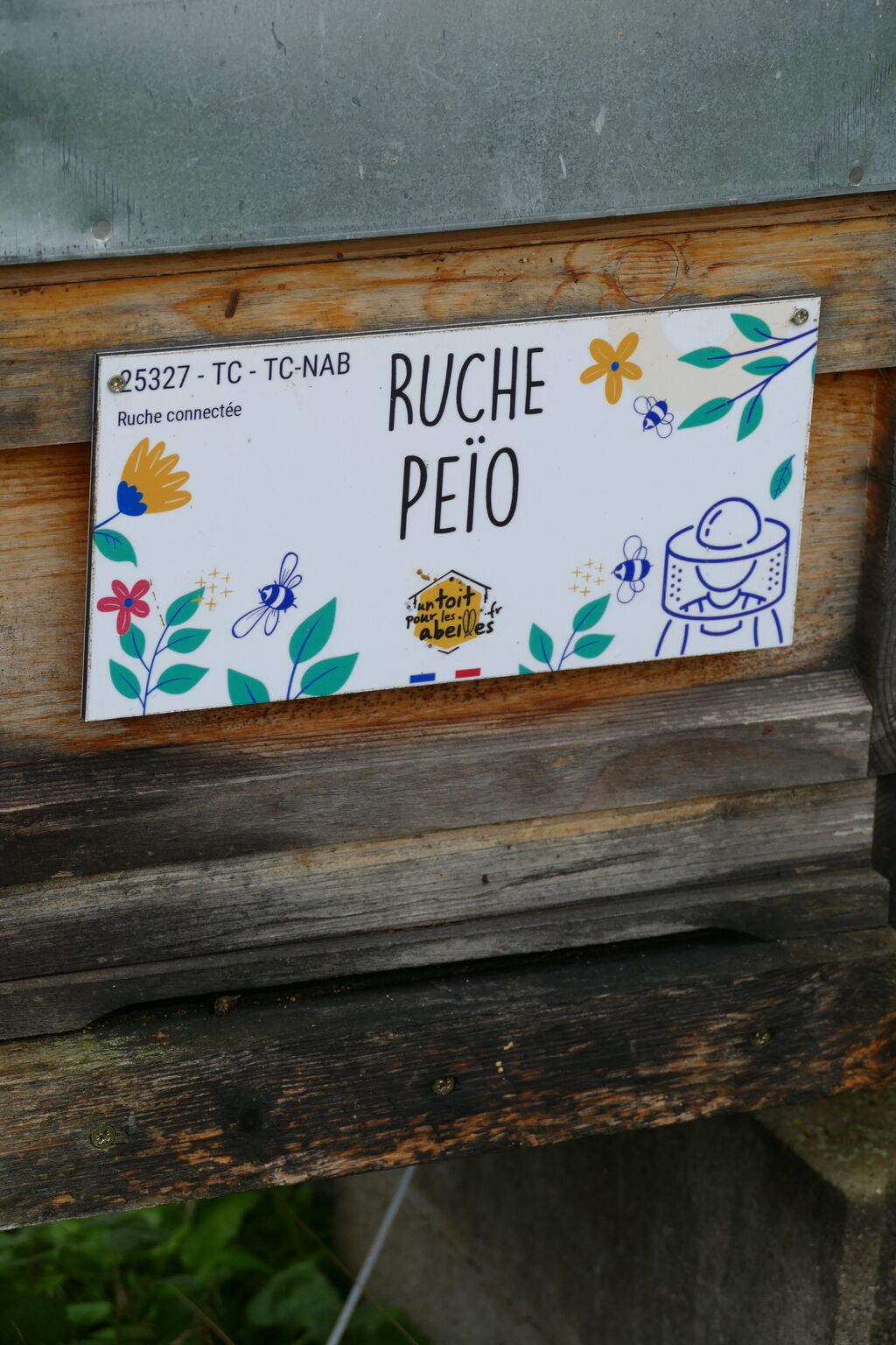 La ruche Peïo