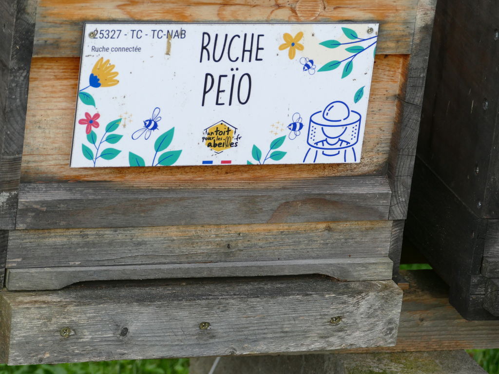 La ruche Peïo