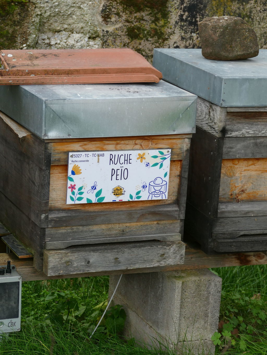 La ruche Peïo