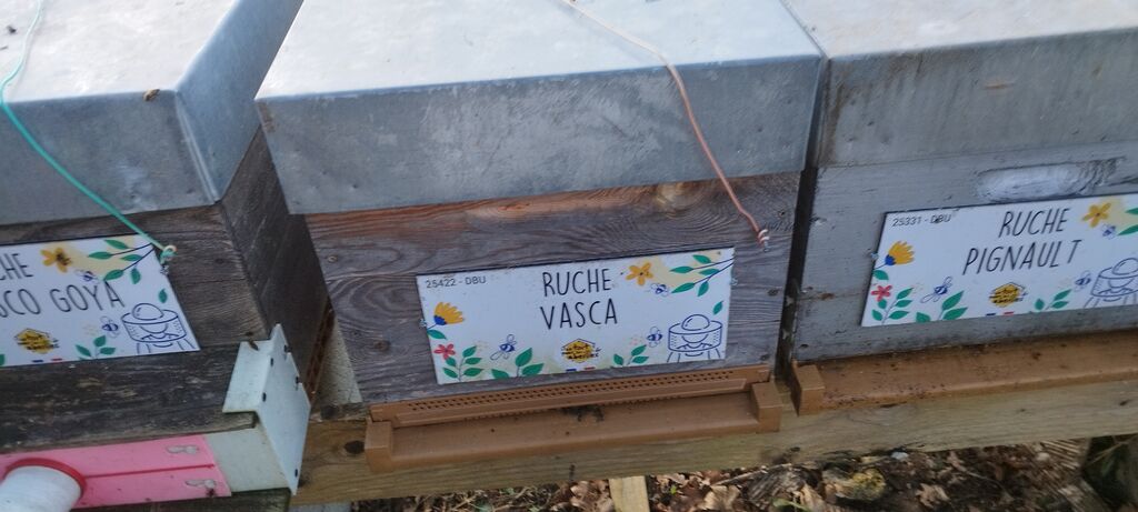 La ruche Pignault