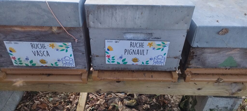 La ruche Pignault