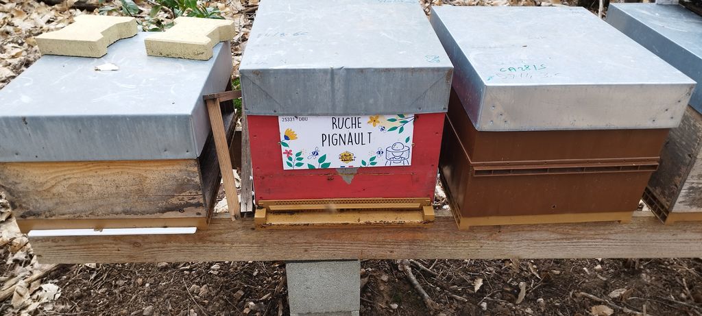 La ruche Pignault