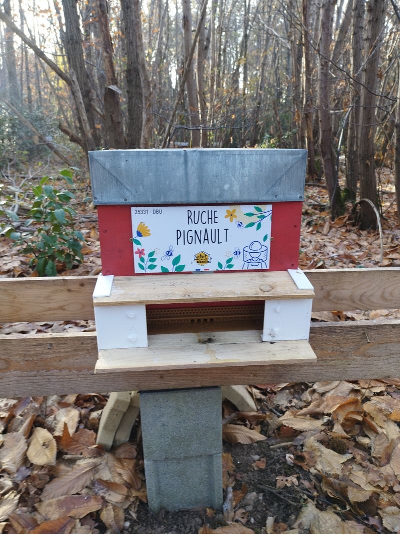 La ruche Pignault