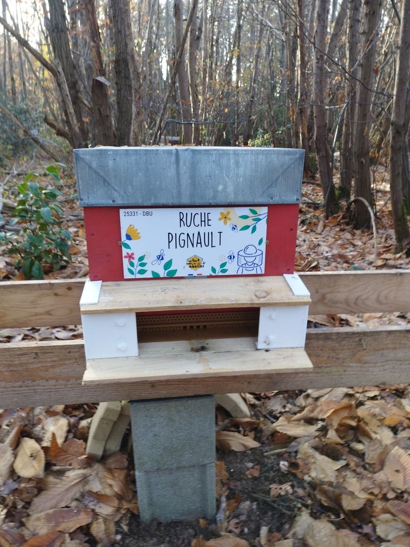 La ruche Pignault