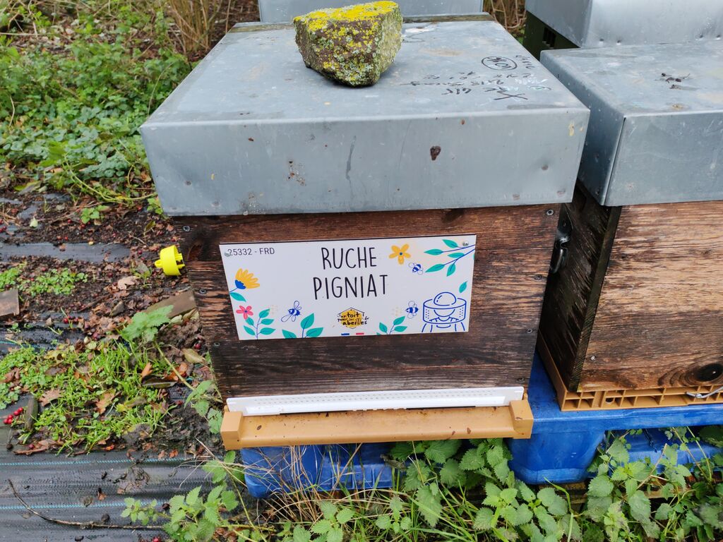 La ruche Pigniat