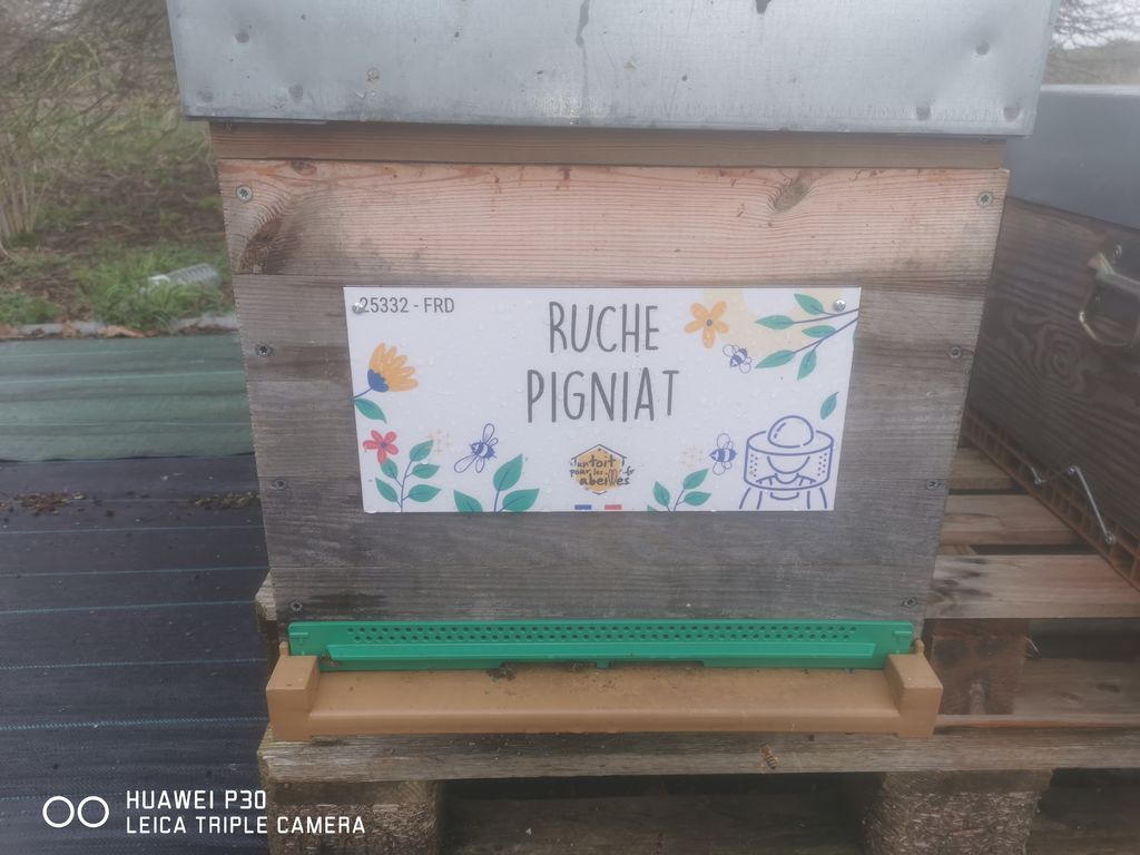 La ruche Pigniat
