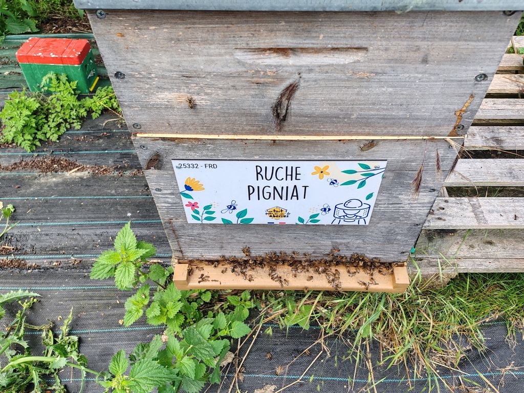 La ruche Pigniat