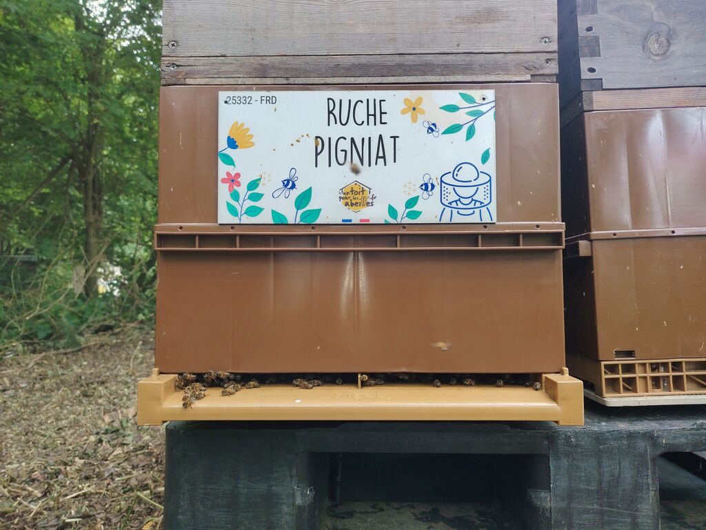 La ruche Pigniat