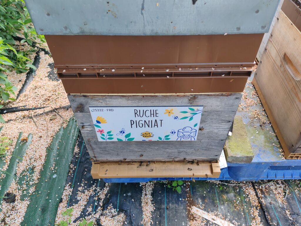 La ruche Pigniat