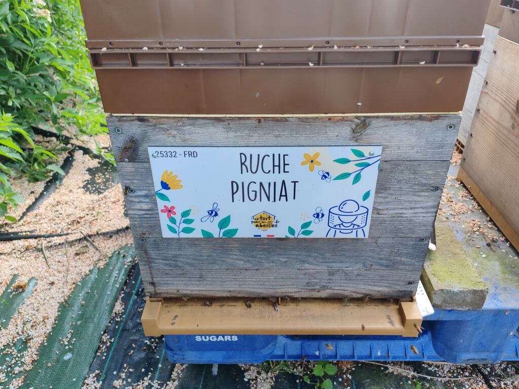 La ruche Pigniat