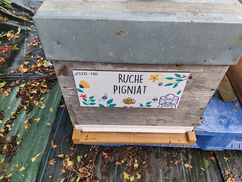 La ruche Pigniat