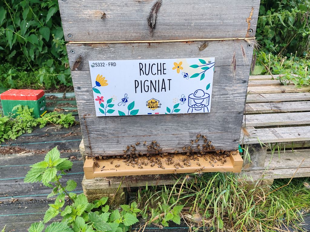 La ruche Pigniat
