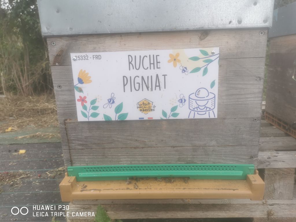 La ruche Pigniat