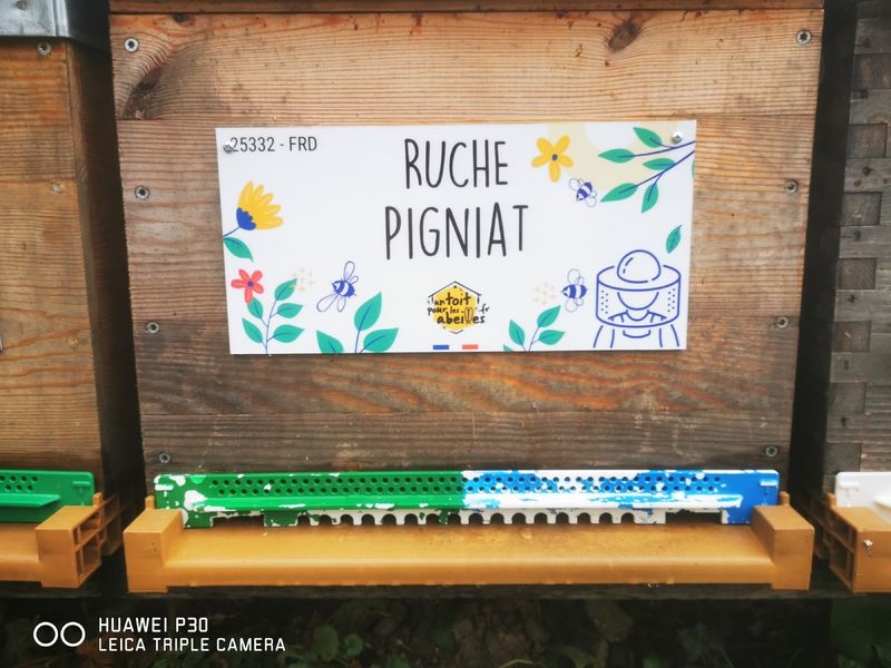 La ruche